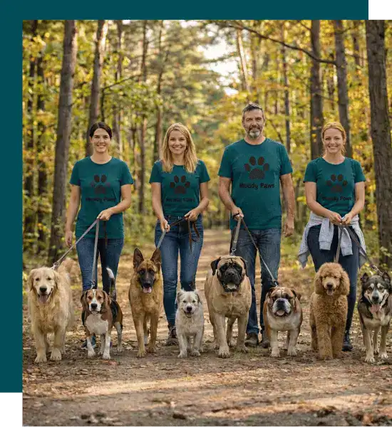 About Muddy Paws Professional Muddy Paws Dog Walker Providing a 60-Minute Group Walks