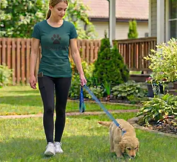 Dog walking service with a woman walking a puppy in a backyard.