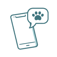 Professional dog grooming session at Muddy Paws, focusing on pet care and hygiene.