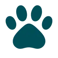 Professional dog grooming at Muddy Paws with a happy dog after a bath.