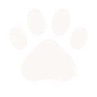 Dog grooming at Muddy Paws with professional staff and clean environment.